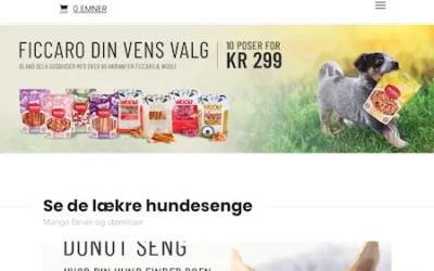 Case Story: The Morning Show: forretningsudvikling, nye webshops og digital markedsføring