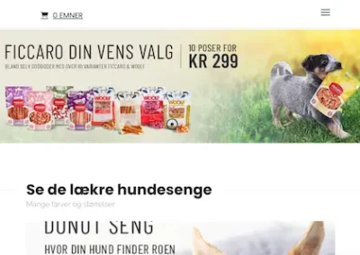 Case Story: The Morning Show: forretningsudvikling, nye webshops og digital markedsføring